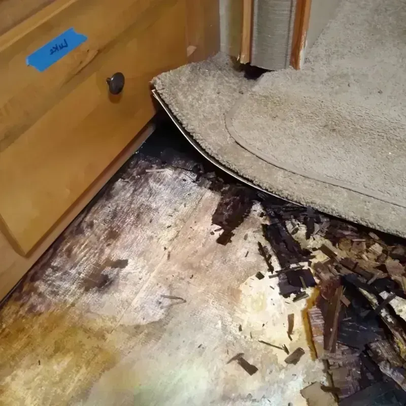 Best Wood Floor Water Damage Service in Fleming Island, FL